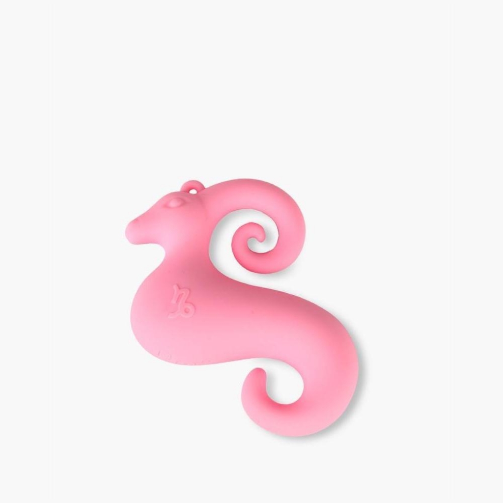 Picture of Zodiac Vibrator