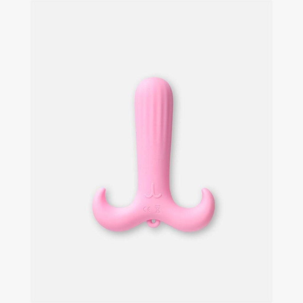 Picture of Zodiac Vibrator